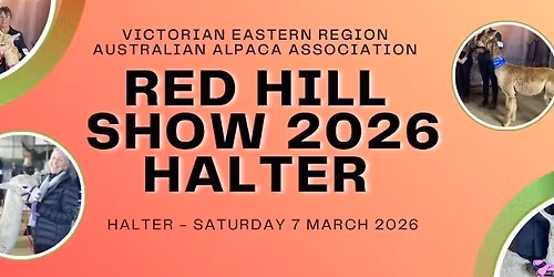 Red Hill Show - Alpaca Halter Show