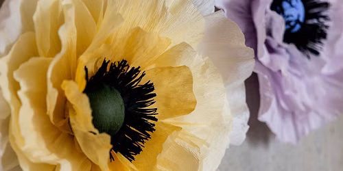 Blomsterverksted: Giant wallflowers