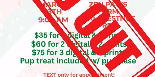 Christmas Pup Pics with Bradey Lynn Phtography