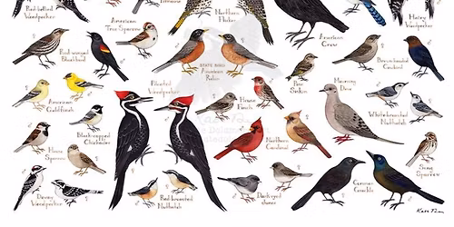 Bird Walk at the Preserve