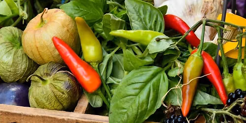 Arundel Farmers Market
