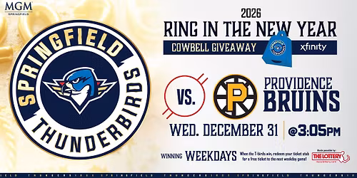 Springfield Thunderbirds v. Providence Bruins