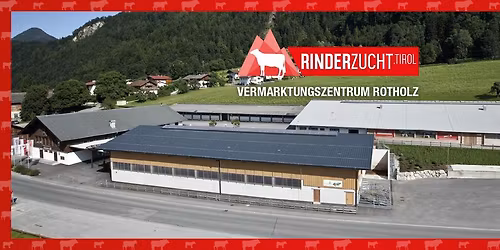 Zuchtviehversteigerung