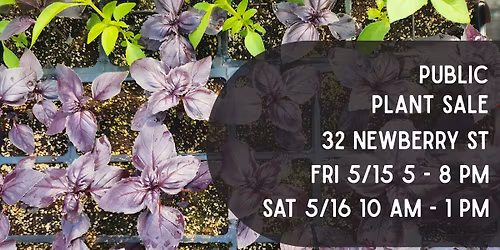 PUBLIC Annual Plant Sale - Day 2