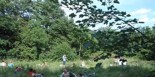 Festival in the Forest