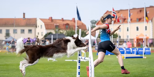 AG kurs m\/Isabelle Simonsen 27.-28. juni