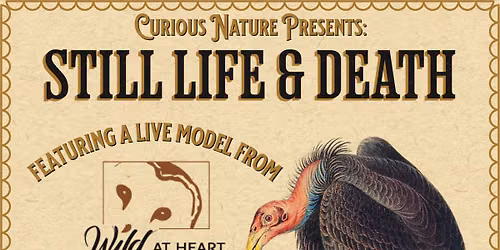 Still Life & Death Featuring Wild at Heart