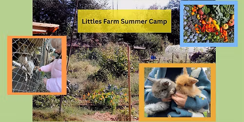 Farm Camp for Little Ones!