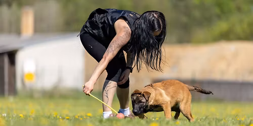 8.-10.5.2026: VV s Nelou Pol\u00e1kovou - Nov\u00e9 Hrady I.\/2026