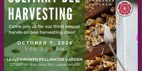 Pollinator Garden Solitary Bee Harvest