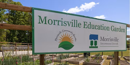 Year-Round Gardening: Insects and Weeds