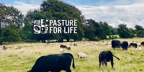 Regenerative Sheep Systems at Fernhill Farm