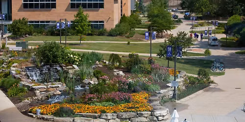 Flowers and Trees of the North Campus Core Tour