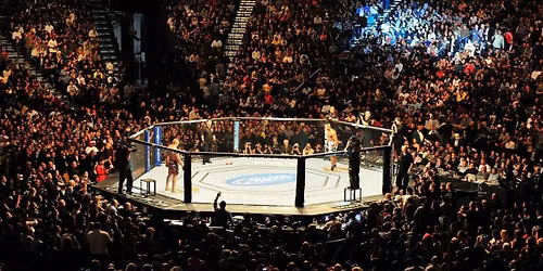UFC 334
