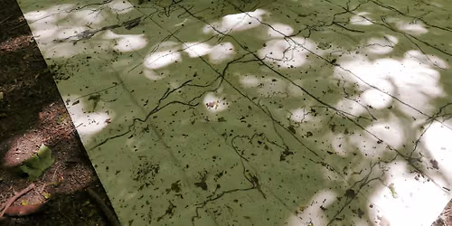 Overhearing Redmires Reservoirs: Multi-species Listening & Language