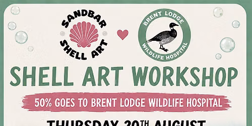 Shell Workshop for Brent Lodge Wildlife Hospital