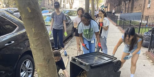 Street Tree Care w\/ Myrtle Avenue BID