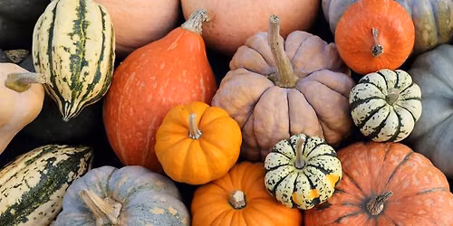 Fall Craft Fair - Moshannon Valley