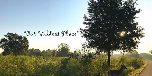 Nature's Hidden Wonders Walk