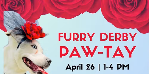 Furry Derby Paw-tay to support The Arrow Fund!