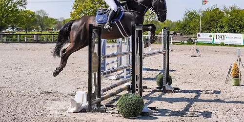 BS CAT 2 @ GOLDEN CROSS EC