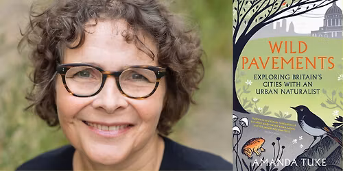 Amanda Tuke: Wild Pavements (GRIFFIN BOOKS AFTER HOURS)
