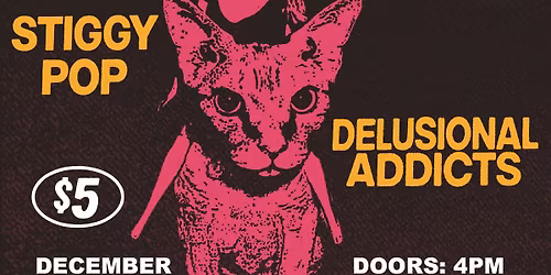 Big Sloth\/Born for Nothing\/If I Could Just Get Some Sleep\/Stiggy Pop\/Delusional Addicts - ALL AGES!