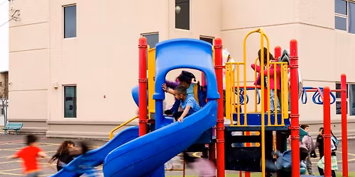 Curious Playground Family Show