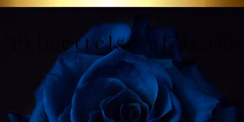 Fris\u00e6ttelse af Seksuel Skam