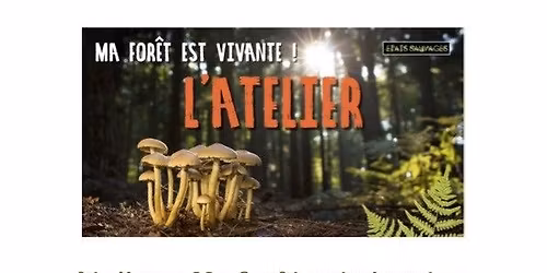 Ma For\u00eat est vivante 