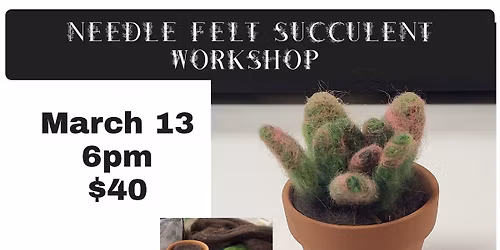 Needle felted succulents