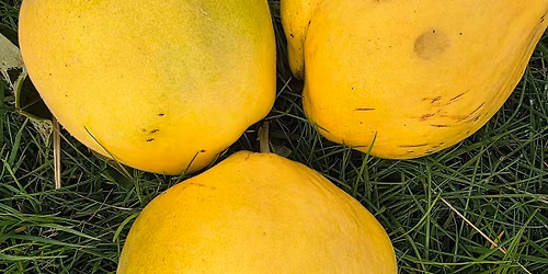 Taradale Produce Swap