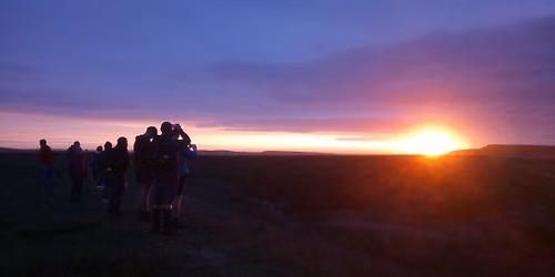 Guided walk: Early morning madness