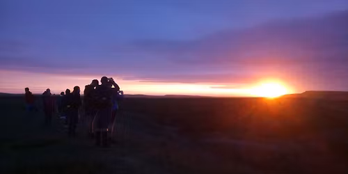Guided walk: Early morning madness