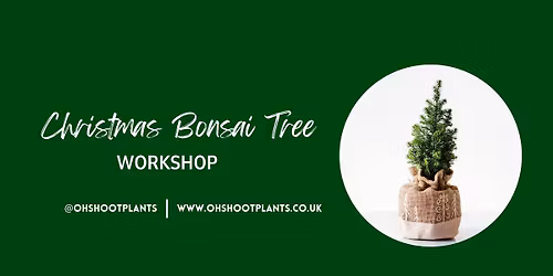 Christmas Bonsai Tree Workshop - Come and style a pine tree into a bonsai and decorate!