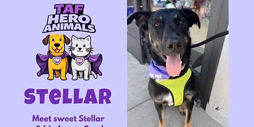JUNE TAF HERO DOG-STELLAR at Vines Wine Bar