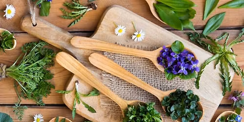 Spring Herbalism 101