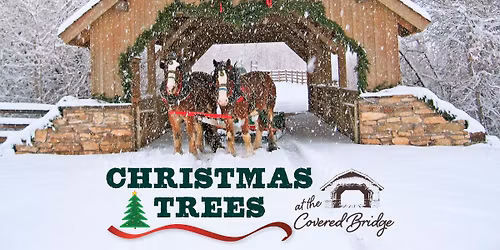 CHRISTMAS TREES at the Covered Bridge