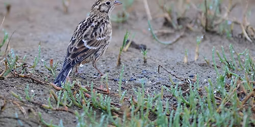 Field Trip: Lyon, Coffey, and Osage Counties