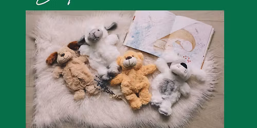 Stuffed Animal Sleepover Party