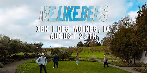 Me Like Bees