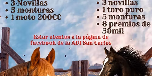 Tope Nocturno Luces del Valle 2025 