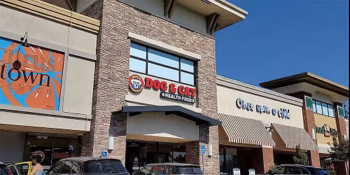 Citrus Heights - Dog dental cleaning
