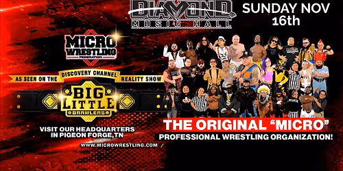 Micro Wrestling