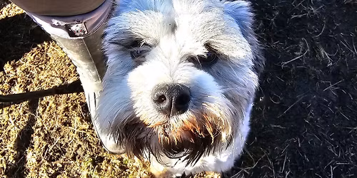 Ro- kontakt- og samarbeidskurs - Asker | Poverud Poter