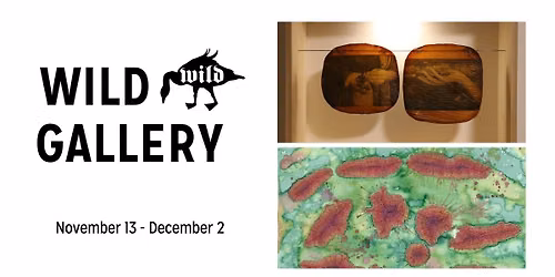 November Wild Gallery