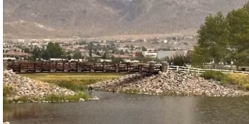 A Walk Around The Wetlands