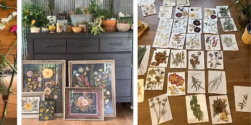Art of the Pressed Flower with Amanda Francis