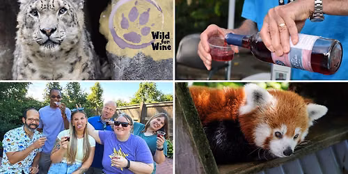 Wild for Wine