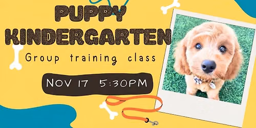 Puppy Kindergarten November